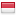 bravoshipmodel.com server is located in Indonesia
